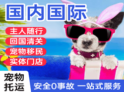 奔牛空运国际宠物托运 【国